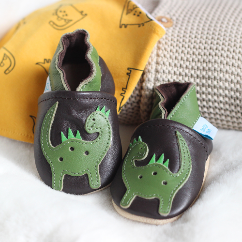 Dinosaur Large Gift Set