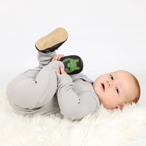 Dinosaur Large Gift Set